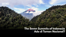 The Seven Summits of Indonesia Ada di Taman Nasional?