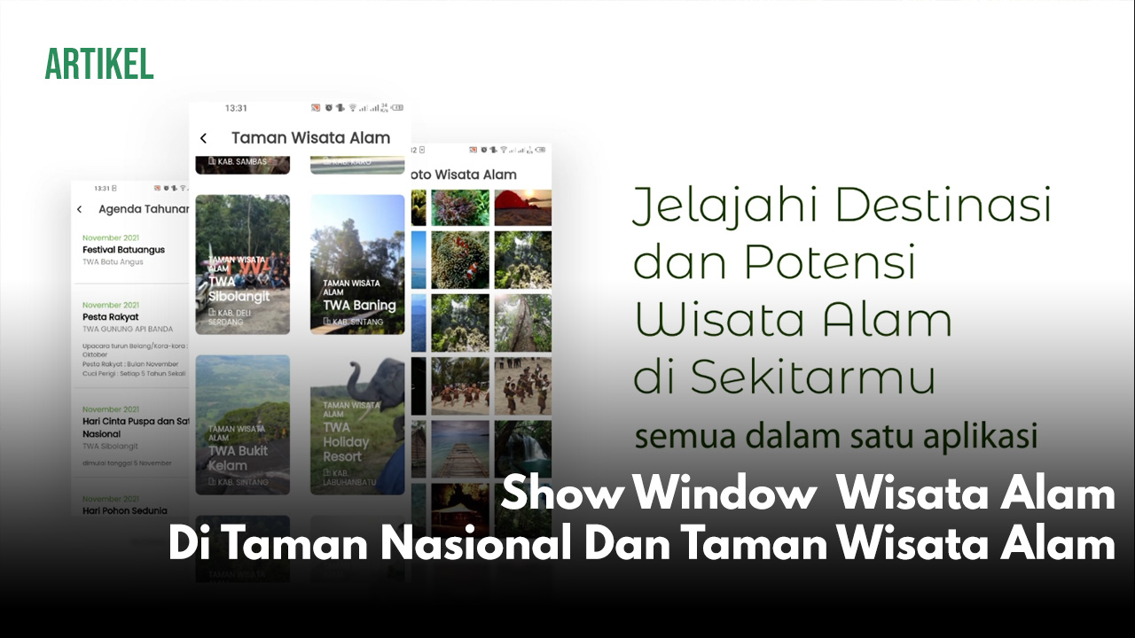 artikel website show windows.jpg
