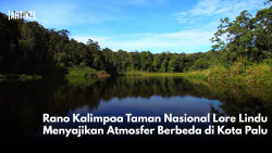 Rano Kalimpaa Taman Nasional Lore Lindu Menyajikan Atmosfer Berbeda di Kota Palu
